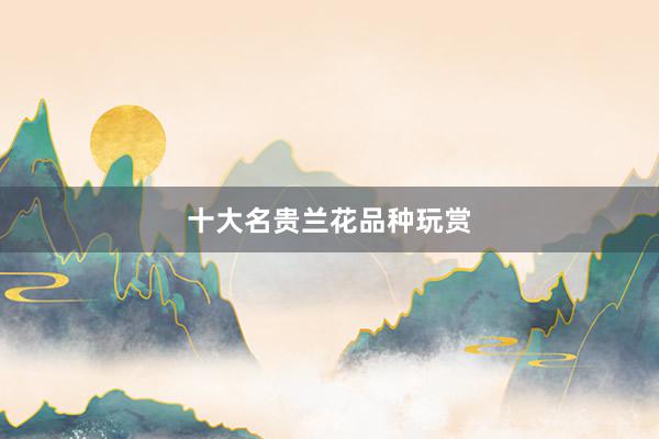 十大名贵兰花品种玩赏