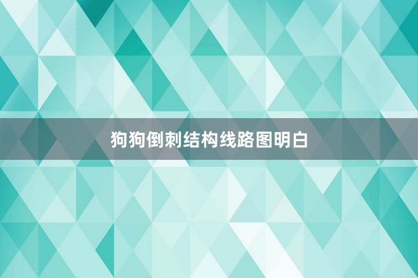 狗狗倒刺结构线路图明白